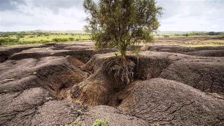 Борьба с эрозией почвы с помощью естественных методов ведения сельского хозяйства.