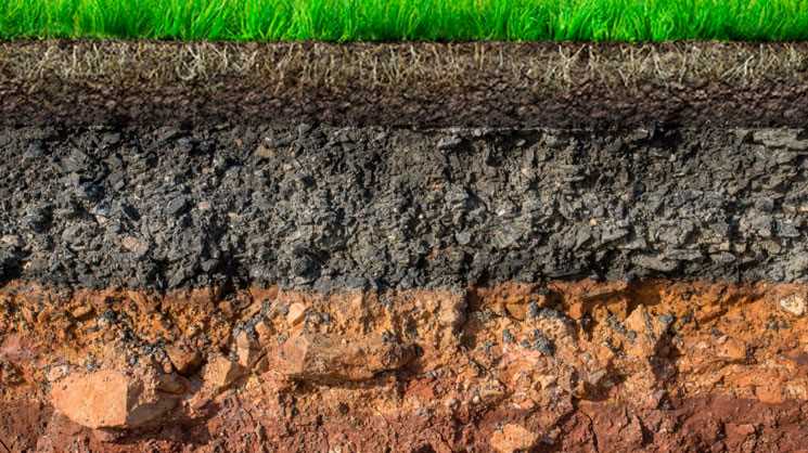 Анализ почвы: почему это важно?