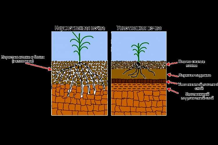 Использование методов сокращенной обработки почвы.