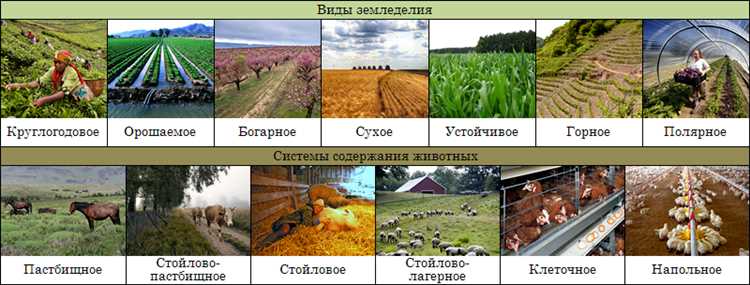 Разнообразие методов животноводства в естественном земледелии