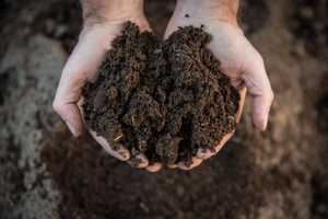 Причины снижения плодородия почвы