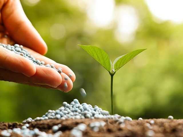 Использование натуральных удобрений для улучшения плодородия почвы