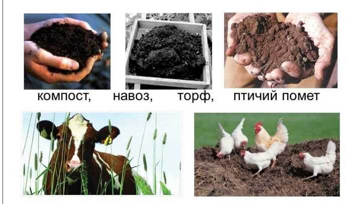 Улучшение плодородия почвы
