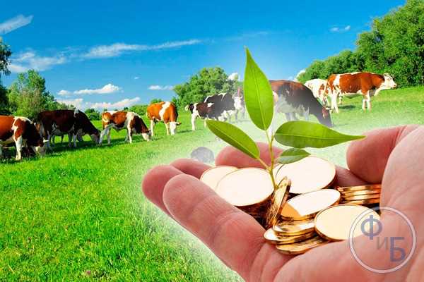 Перспективы развития инвестиций в сельское хозяйство