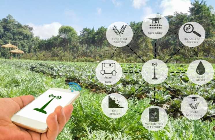 Новейшие технологии в современном сельском хозяйстве