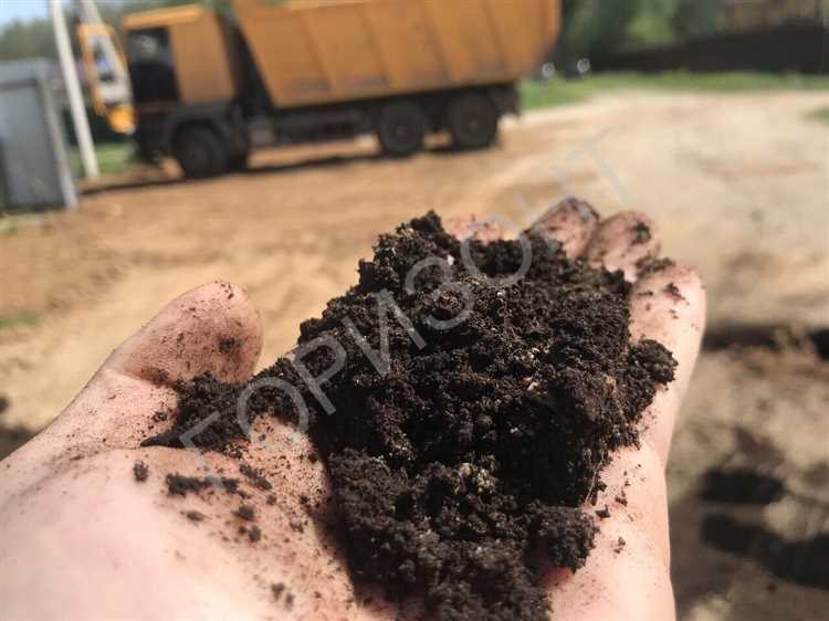 Что такое органические поправки к почве