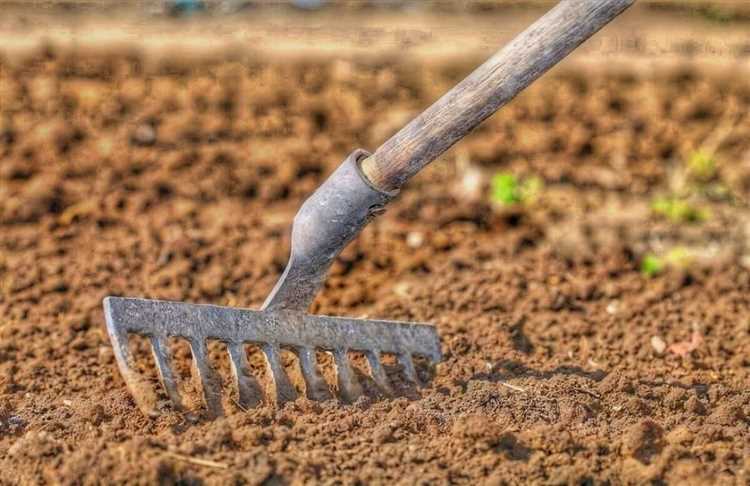 Почему органические поправки полезны для почвы?