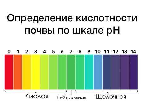 Значение и интерпретация различных уровней pH почвы.