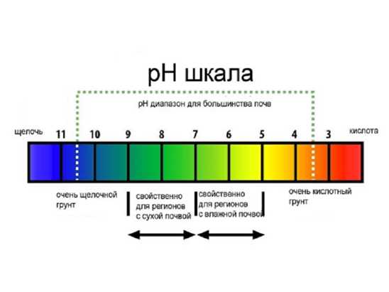 Роль pH в почвенных процессах