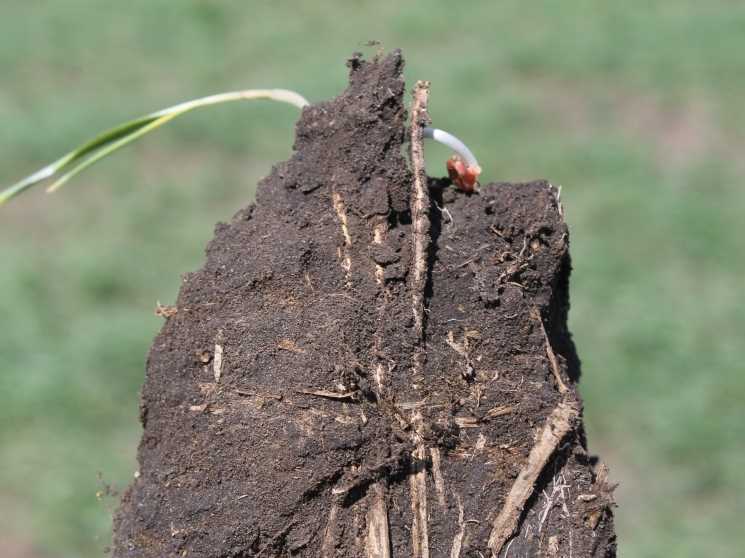Понимание уплотнения почвы