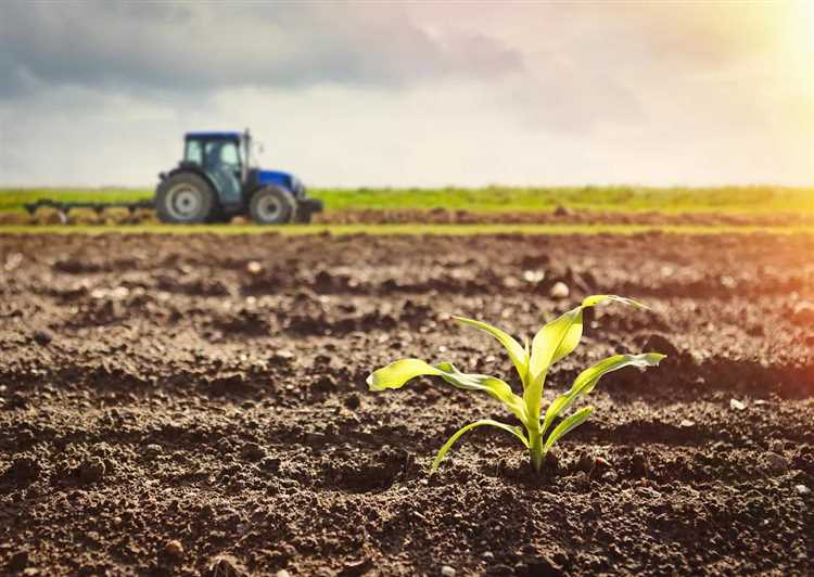 Ключевые преимущества плодородной почвы на натуральных фермах: