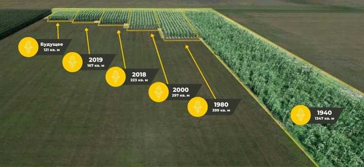 Как развиваются климатически устойчивые натуральные фермы 