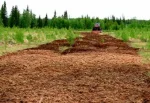 Рекультивация земель: Возвращение жизни из пепла